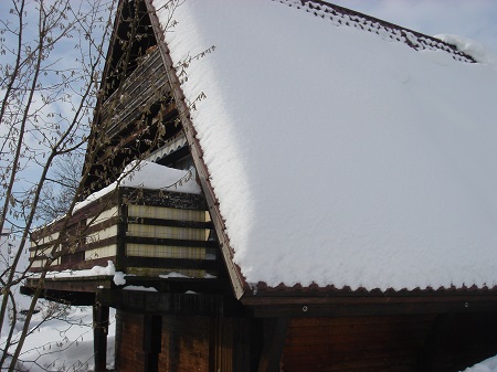 photo_two